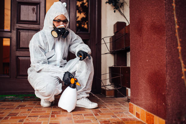 Reliable Bed Bug Control contractor in Hallsville, MO by Nex Pest Control