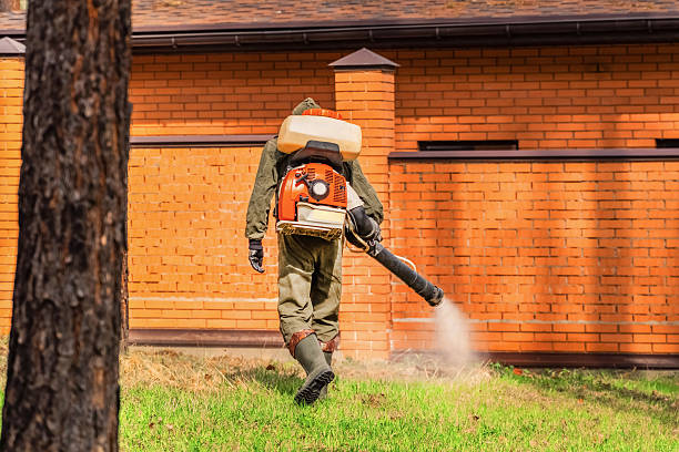 Trusted Ant Control service in Hallsville, MO - Nex Pest Control